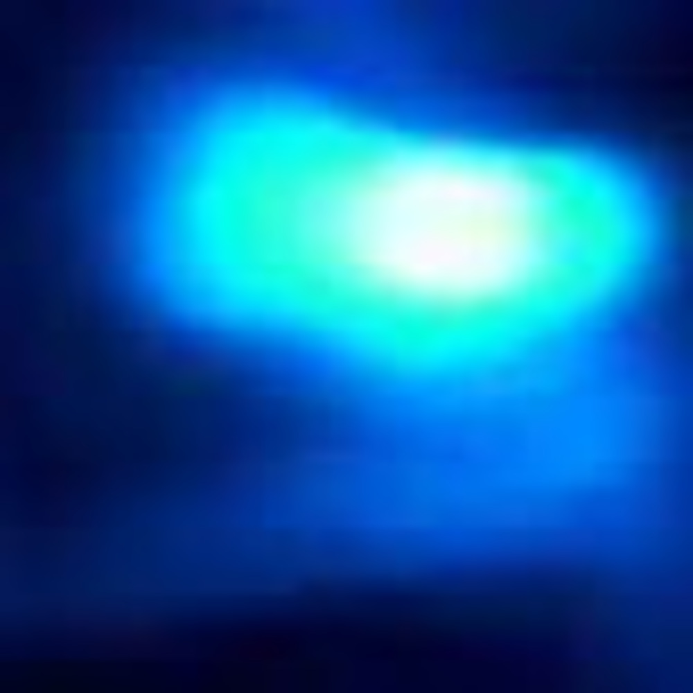 Meet your Posher, Dawn